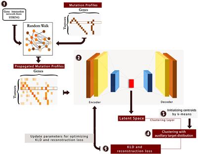 Classifying Breast Cancer Molecular Subtypes by Using Deep Clustering Approach